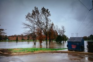 Read more about the article Storm Season Tips for Seniors